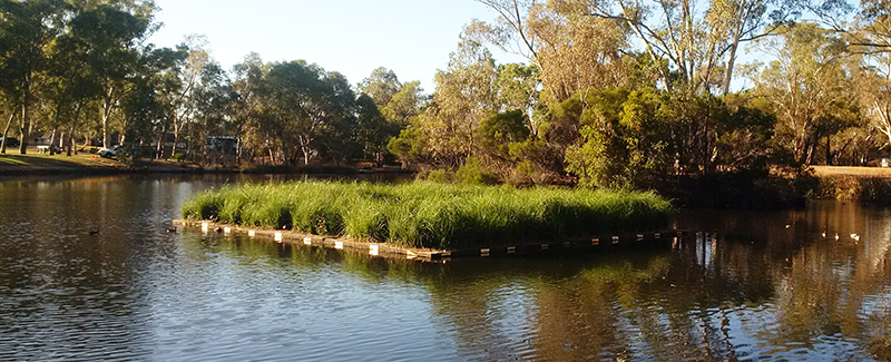 floating wetland