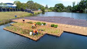 floating wetland