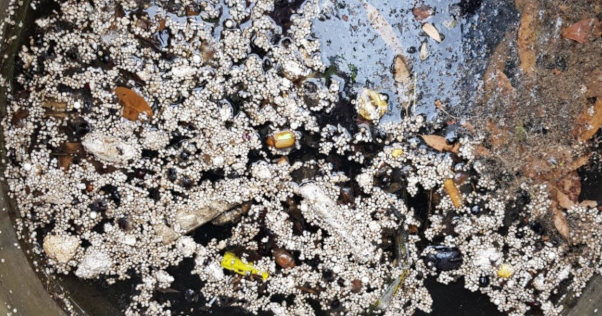 polystyrene captured in this spel environmental offline vortceptor