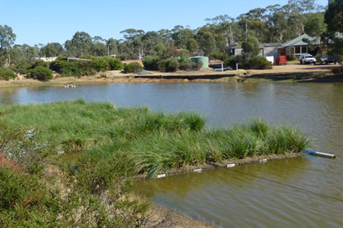 floating wetland