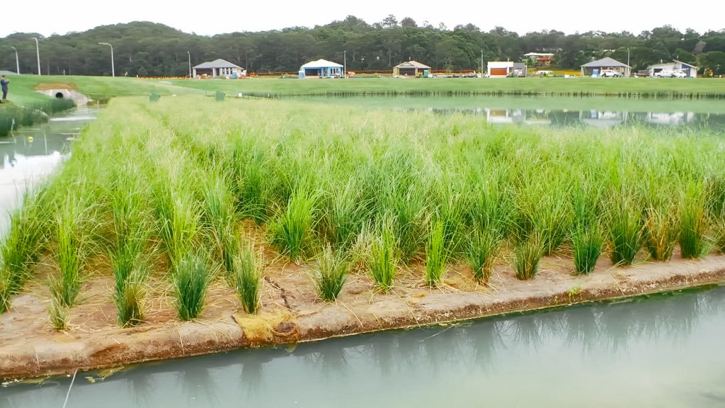 SPEL Floating Wetlands