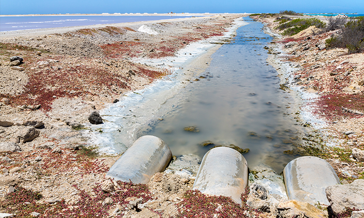 Saline Water