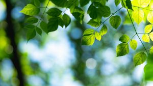 blog-hero-w-13