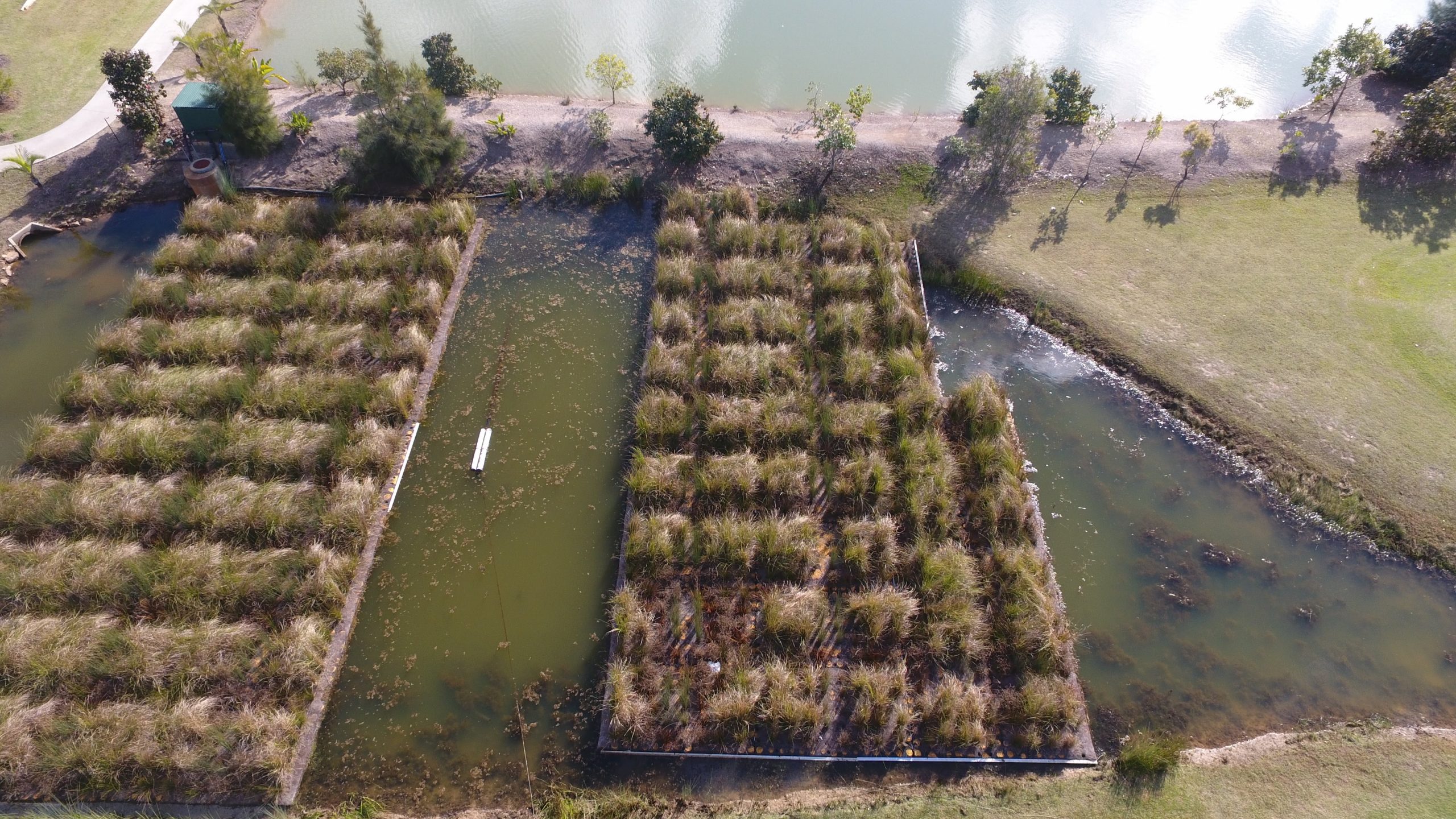 floating wetland