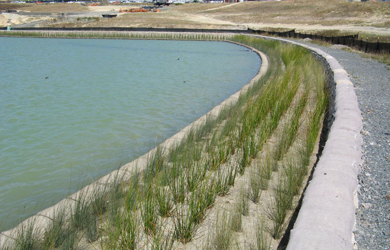 Floating Wetlands Stormwater Treatment