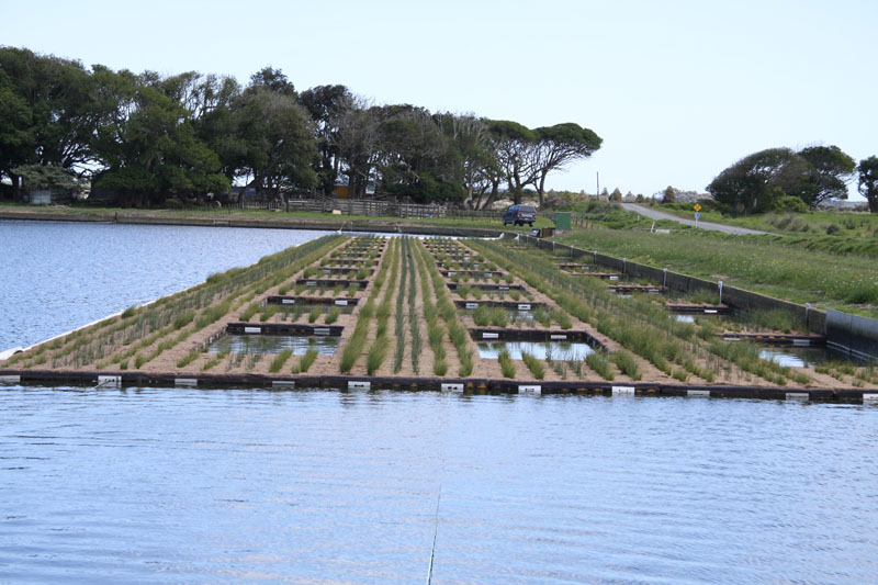 SPEL Floating Wetlands