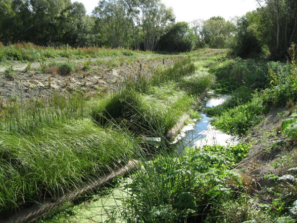 Floating Wetlands Stormwater Treatment