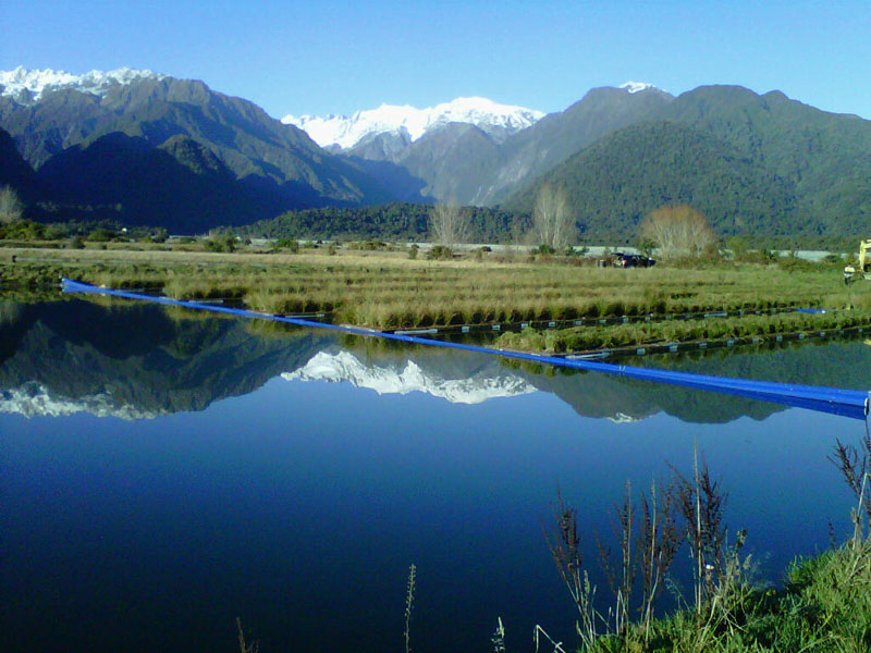 Floating Wetlands Wastewater Treatment