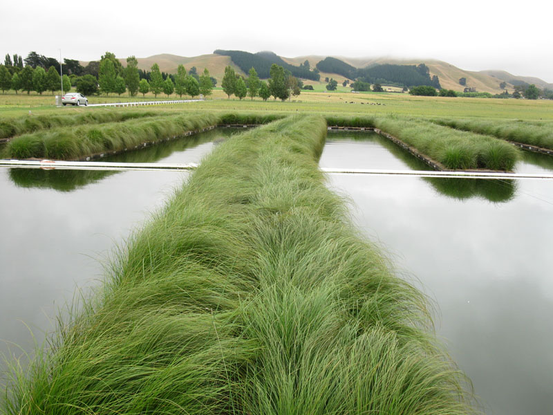 Floating Wetlands Wastewater Treatment
