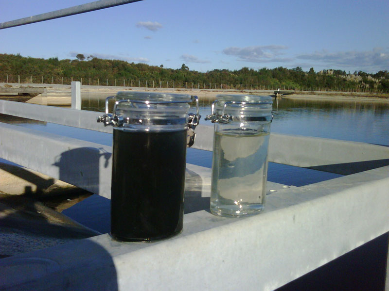 Floating Wetlands Wastewater Treatment