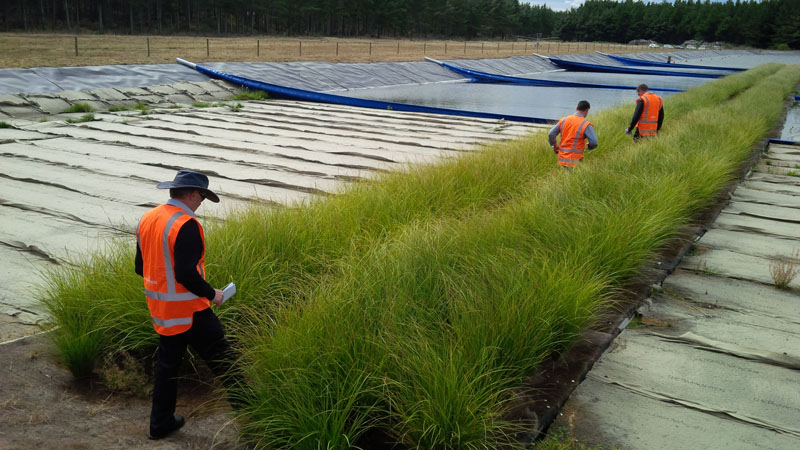 Floating Wetlands Wastewater Treatment
