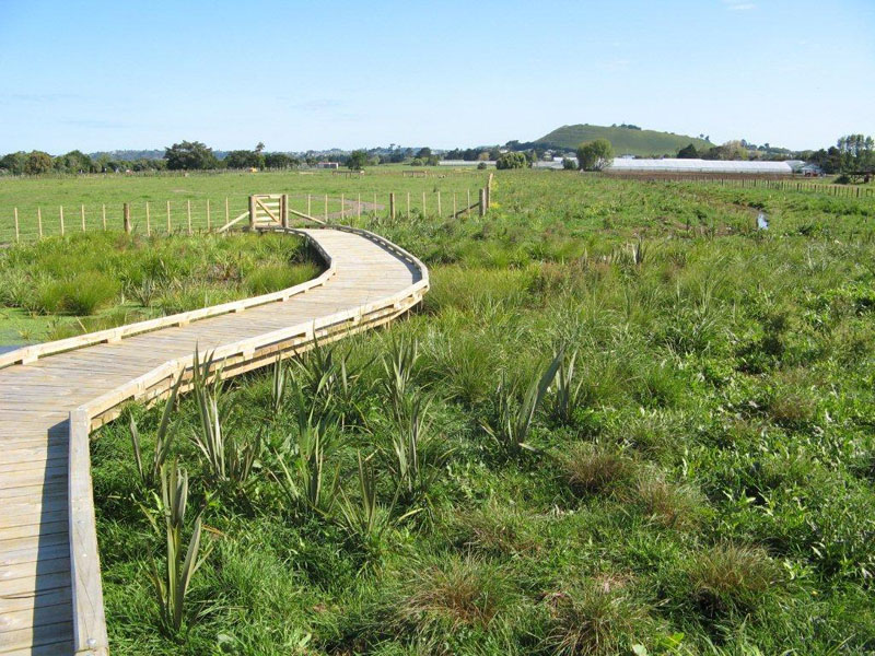 Floating Wetlands Stormwater Treatment