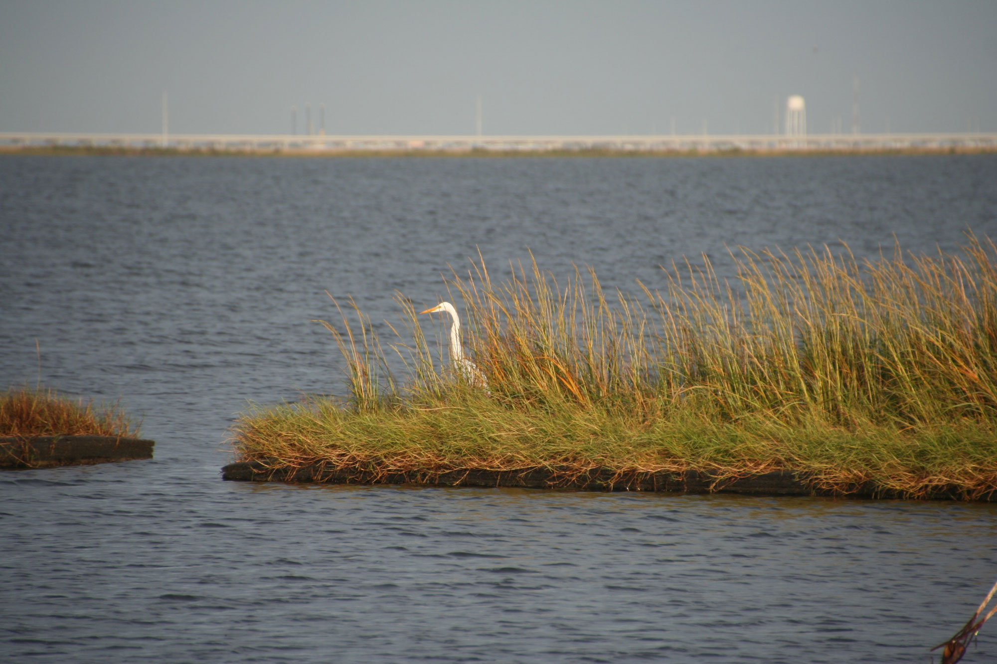 spel floating breakwater