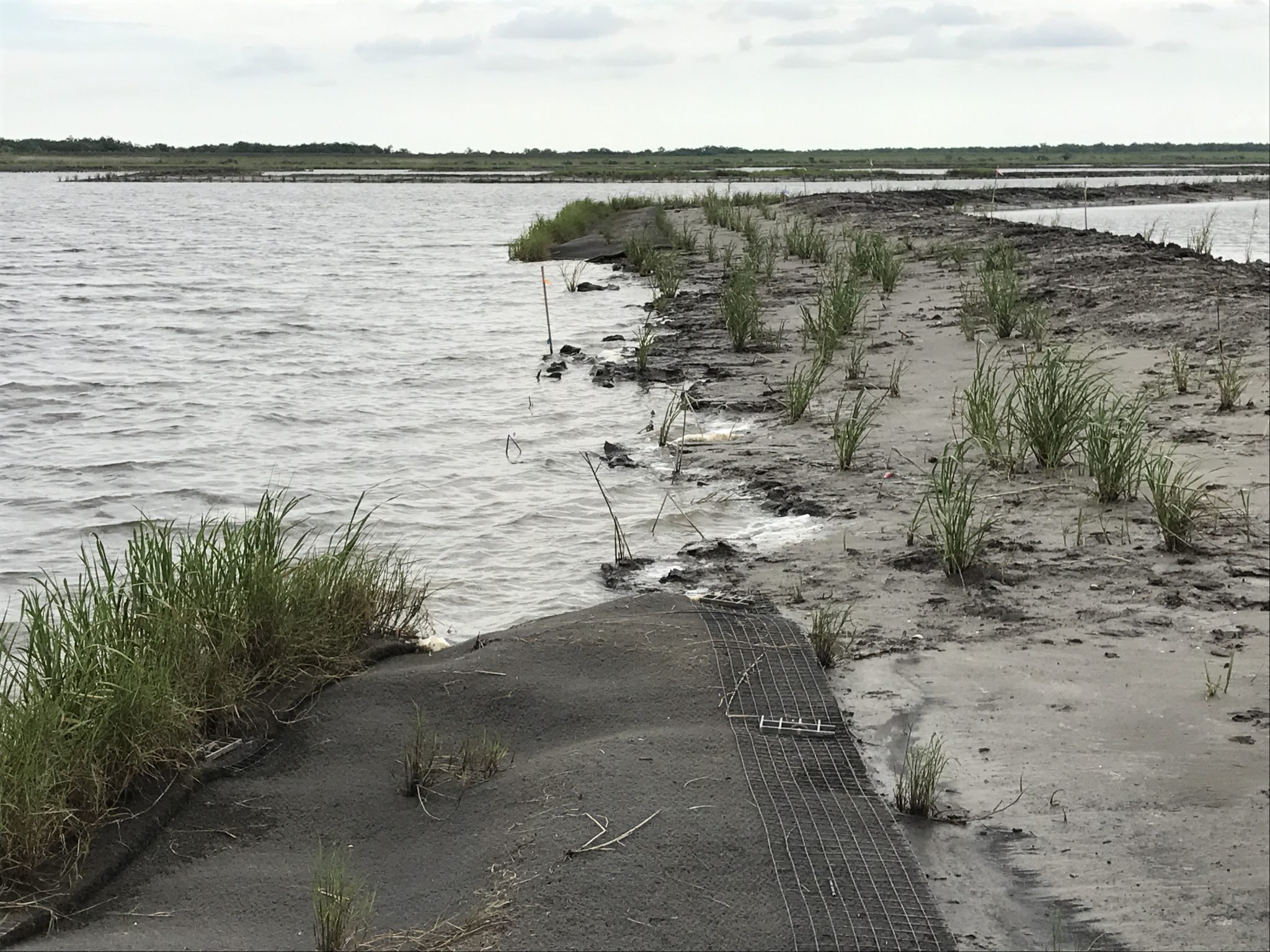 SPEL Vegetated Ecoshield