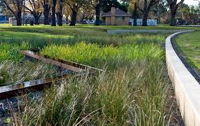 Edinburgh Gardens Raingarden