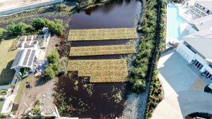 floating wetlands