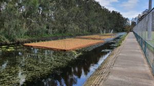 blog-hero-w-wetlands