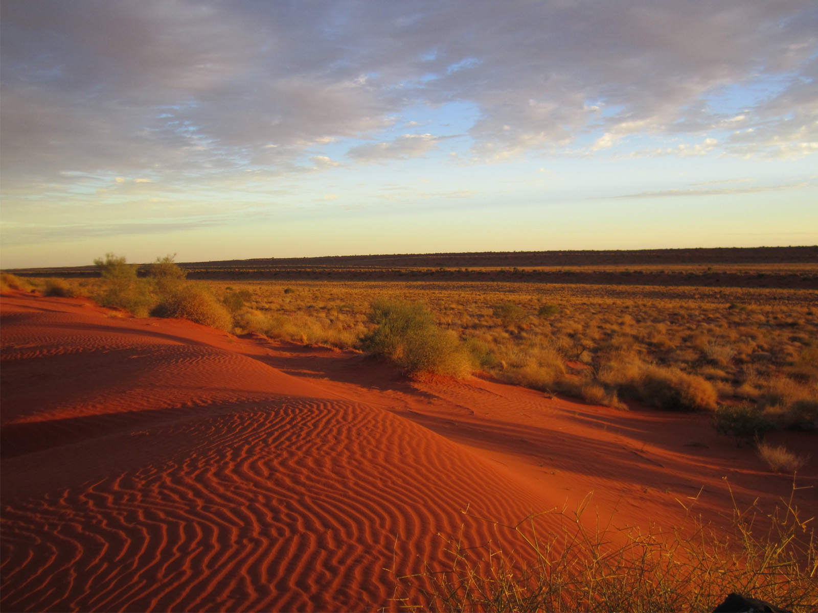 Simpson Desert Australia