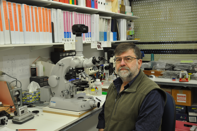 Dr. Robert Walsh