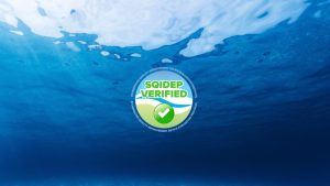 blog-sqidep-verified