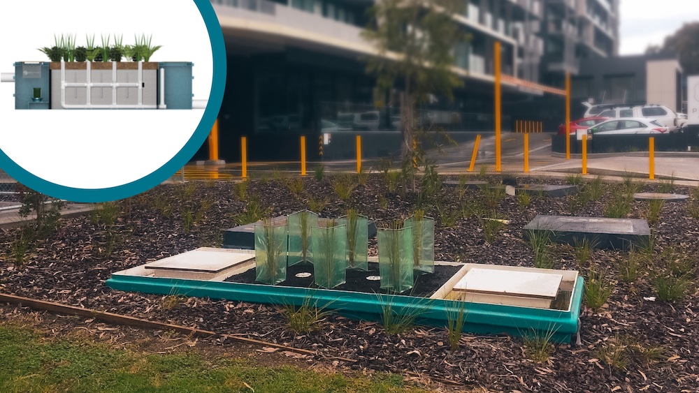 SPELbasin auckland approval